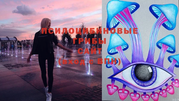 мдпв Армянск