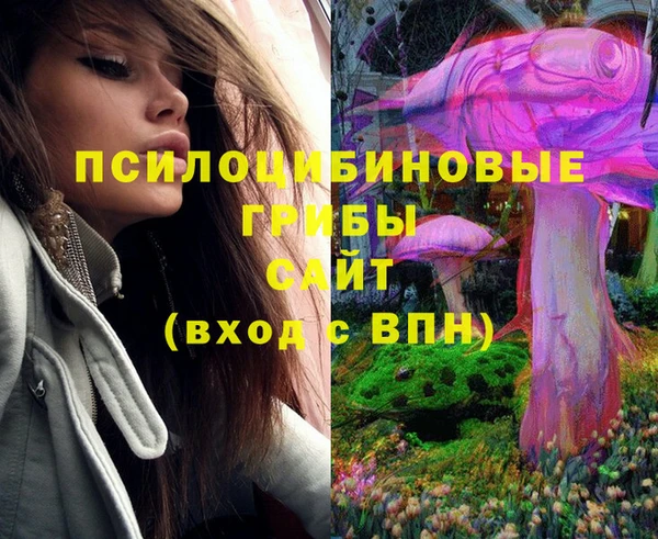 mix Арсеньев