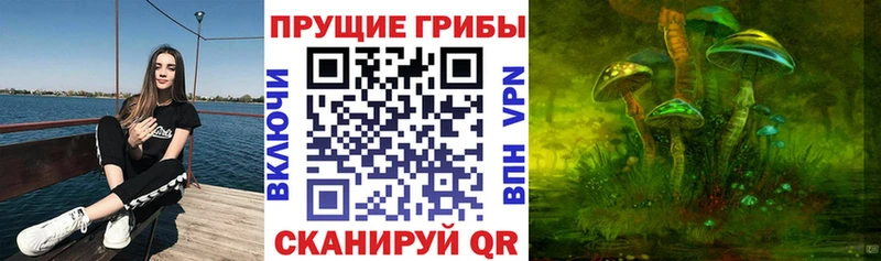 Псилоцибиновые грибы MAGIC MUSHROOMS  Шацк 